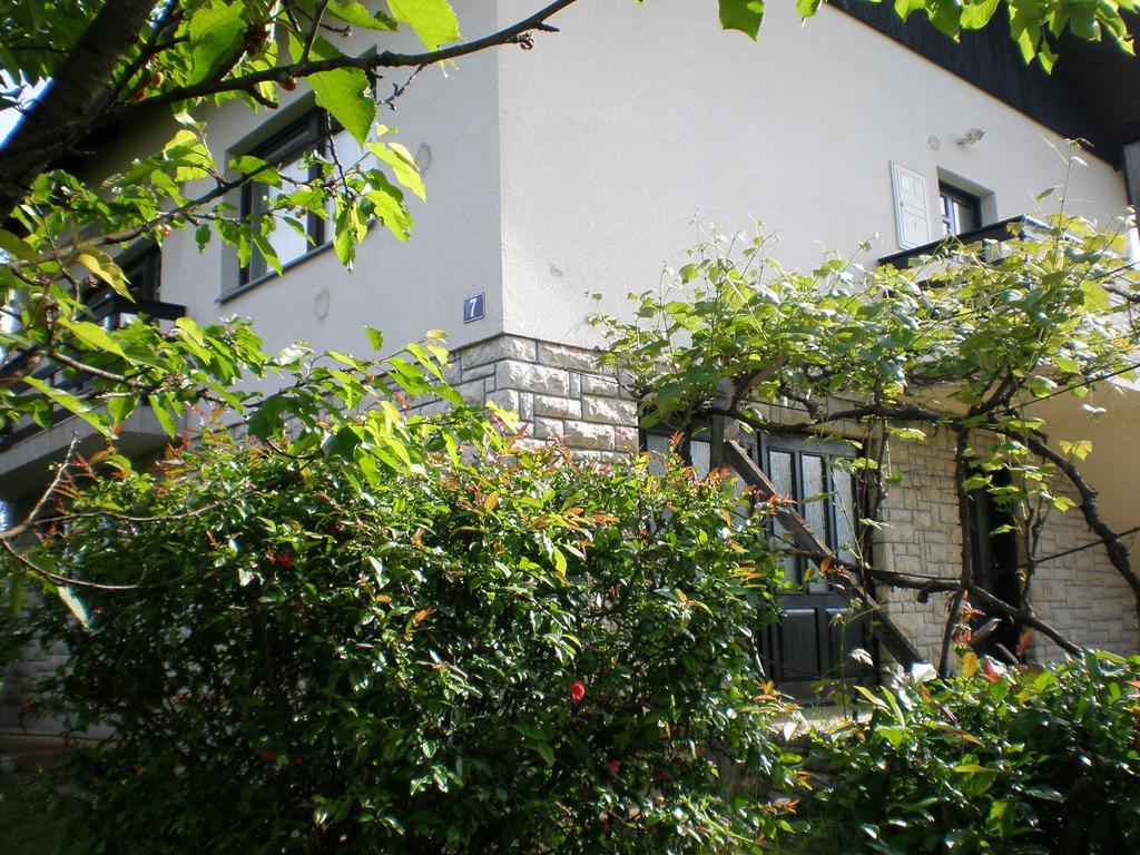 Apartment Vi&Mi Slunj Εξωτερικό φωτογραφία