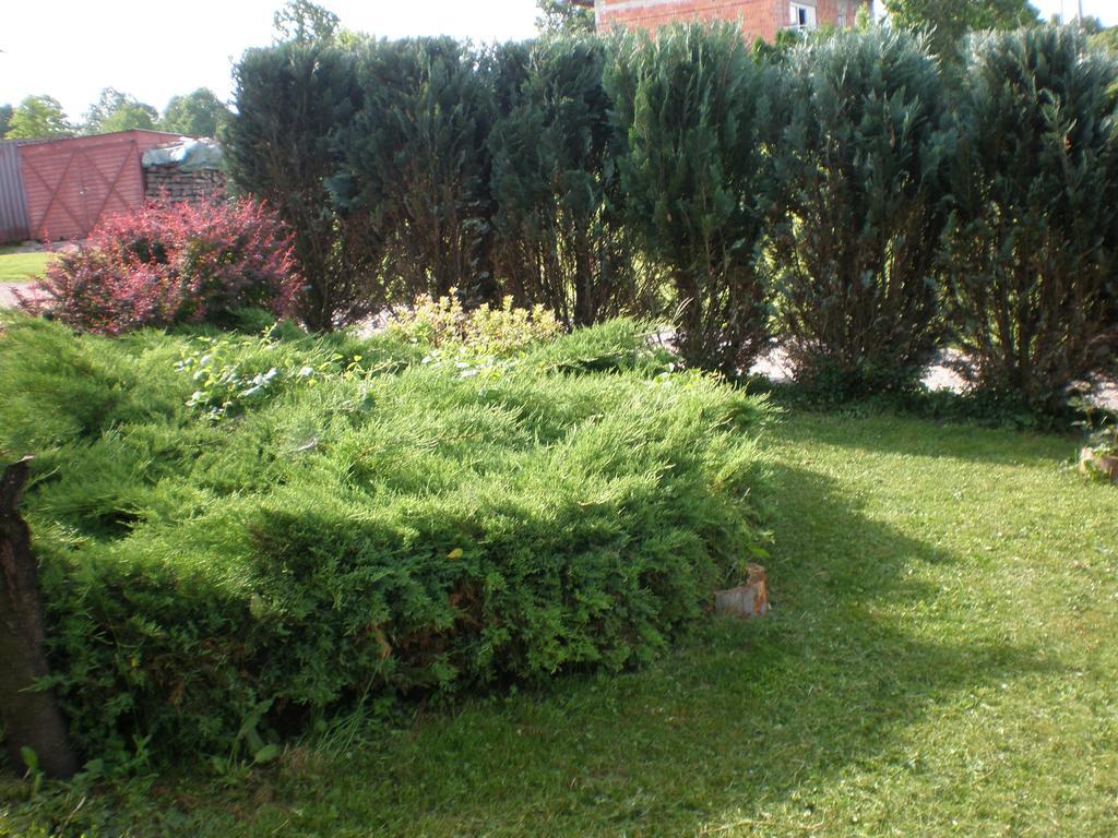 Apartment Vi&Mi Slunj Εξωτερικό φωτογραφία